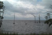 Riverfront Property in Chowan County, North Carolina