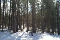 Land in Windham County, Vermont