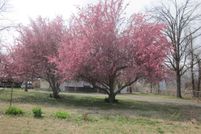 Recreational Property in Baxter County, Arkansas