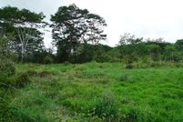 Farm and Ranch in Hawaii County, Hawaii