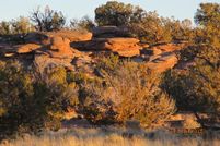 Farm and Ranch in Apache County, Arizona