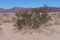 Farm and Ranch in San Bernardino County, California