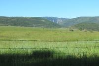 Farm and Ranch in Montrose County, Colorado