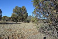 Farm and Ranch in Grant County, New Mexico