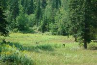 Farm and Ranch in Clearwater County, Idaho