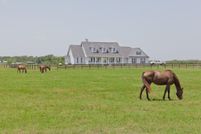 Farm and Ranch in Brazoria County, Texas