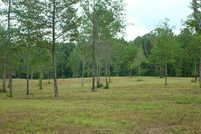 Land in Wood County, Texas