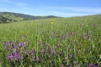 Land in Contra Costa County, California