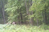 Land in Mecosta County, Michigan