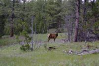 Farm and Ranch in Weston County, Wyoming