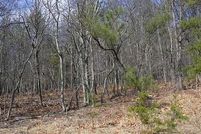 Land in Frederick County, Virginia