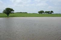 Farm and Ranch in Grayson County, Texas
