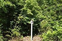 Land in Lincoln County, North Carolina