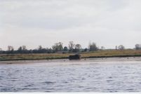 Homesite in Williamson County, Illinois