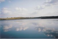 Farm and Ranch in Williamson County, Illinois