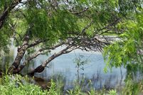 Timberland Property in Caldwell County, Texas