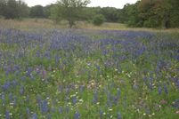 Farm and Ranch in Wilson County, Texas