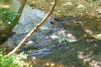 Land in Surry County, North Carolina