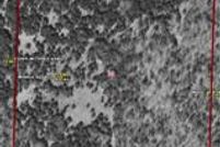 Farm and Ranch in Dallas County, Missouri