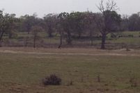 Farm and Ranch in Grimes County, Texas