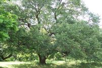 Farm and Ranch in Fort Bend County, Texas