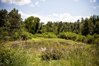 Farm and Ranch in Sabine County, Texas