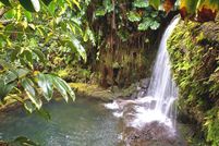 Land in Hawaii County, Hawaii