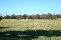 Land in Wood County, Texas