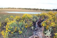 Land in Caldwell County, Texas