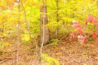 Farm and Ranch in Brown County, Indiana