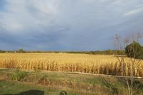 Farm and Ranch in Saline County, Nebraska