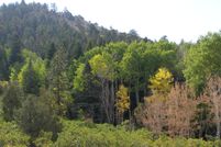 Farm and Ranch in Custer County, Colorado