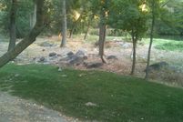 Timberland Property in Tulare County, California