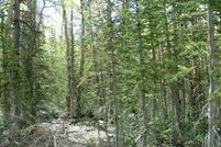 Timberland Property in Iron County, Utah