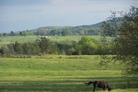 Land in Van Buren County, Tennessee
