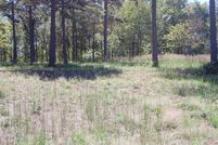 Timberland Property in Cleburne County, Arkansas