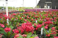 Commercial Property in Hawaii County, Hawaii