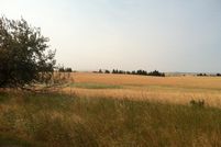 Land in Clearwater County, Idaho