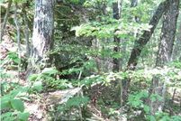 Land in Saint Clair County, Alabama