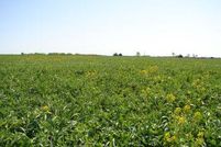 Land in Des Moines County, Iowa