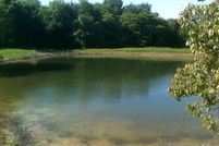 Farm and Ranch in Collin County, Texas