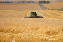 Farm and Ranch in Idaho County, Idaho