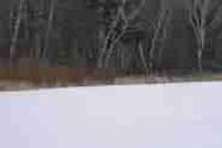 Timberland Property in Washburn County, Wisconsin