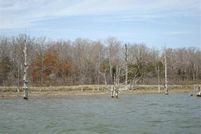 Undeveloped Land in Wood County, Texas