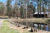 Hunting Property in Wood County, Texas