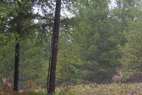 Farm and Ranch in Lane County, Oregon