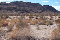 Farm and Ranch in San Bernardino County, California