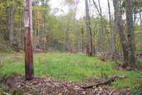 Farm and Ranch in Braxton County, West Virginia
