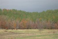 Farm and Ranch in Montgomery County, Arkansas