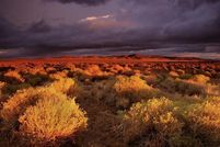 Farm and Ranch in Los Angeles County, California